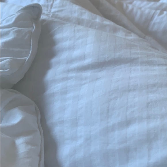 Meet your Posher, Maya - Picture 1 of 1